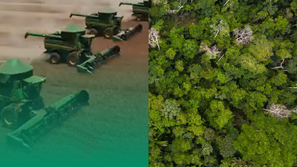 Save the Last Corridor of Life in Bolivian Amazon